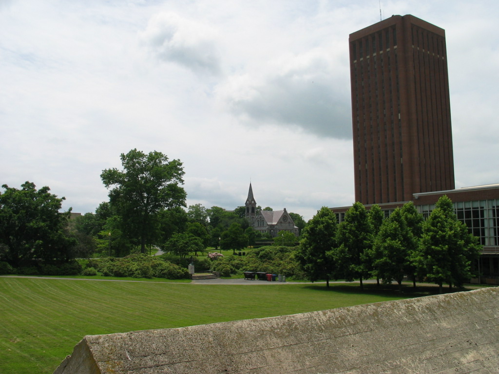 view from hotel