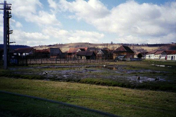 View of Paltinis